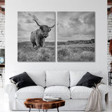 Highland Cow Canvas Print SKU 10146