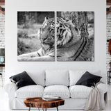 Black and White Portrait of a Siberian Tiger Canvas Print SKU 10184