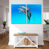 Pair of Playful Dolphins Canvas Print SKU 10442