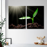 Sapling in Sunlight Canvas Print SKU 10447