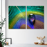 Water Drops on Peacock Feather Canvas Print SKU 10422