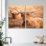 Highland Cattle on Exmoor Canvas Print SKU 10626