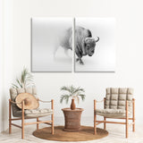 Wild Bison Buffalo Black and White Canvas Print SKU 10273