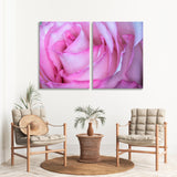 Pink Rose Canvas Print SKU 10349