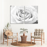 Rose in Black and White Canvas Print SKU 10168