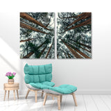 Cedar Forest Canvas Print SKU 10514