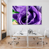 Purple Eustoma Close Up Canvas Print SKU 10354