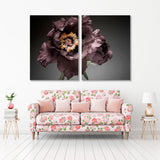 Dark Peony Close-up Canvas Print SKU 10537