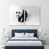 Giant Panda Bear Black and White Canvas Print SKU 10288