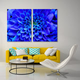 Aster with Blue Petals Canvas Print SKU 10340