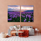 Iris Field in Provence Canvas Print SKU 10944