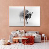 Buffalo Black and White Canvas Print SKU 10284