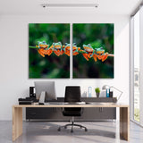 Beautiful Tree Frogs Canvas Print SKU 10865