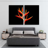 Orange Flower on Black Background Canvas Print SKU 10740