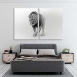 Proud Lion Black and White Canvas Print SKU 10290