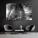 Palm Leaf Black White Canvas Print SKU 10436