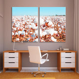 Cotton Fields Canvas Print SKU 10736