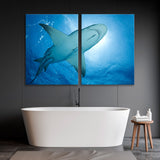 Lemon Shark Close Up Canvas Print SKU 10429