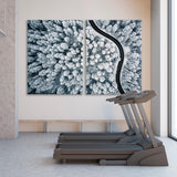 Snow Covered Trees and Road Canvas Print SKU 10720