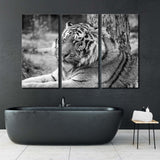 Black and White Portrait of a Siberian Tiger Canvas Print SKU 10184