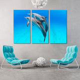 Pair of Playful Dolphins Canvas Print SKU 10442