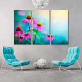 Delicate Pink Echinacea Flowers Canvas Print SKU 10357