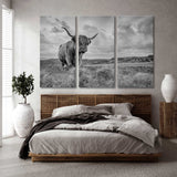 Highland Cow Canvas Print SKU 10146