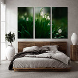 Snowdrop Flowers Canvas Print SKU 10484