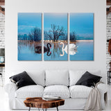 Black and White Swans on the Lake Canvas Print SKU 10779