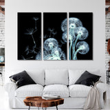 Dandelion X-ray Image Canvas Print SKU 10876