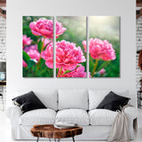 Pink Peony Flowers Canvas Print SKU 10344