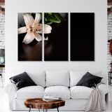 Lily Flower on Dark Background Canvas Print SKU 10338