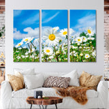 Field with Daisies Canvas Print SKU 10342