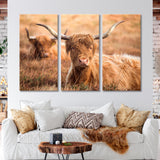 Highland Cattle on Exmoor Canvas Print SKU 10626