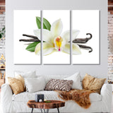 Vanilla Flower Canvas Print SKU 10336