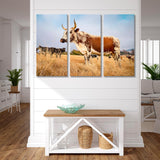 Cow in the Field Canvas Print SKU 10154