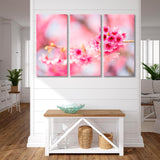 Cherry Вlossoms Canvas Print SKU 10407