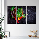 Chard Leaves on Black Background Canvas Print SKU 10497