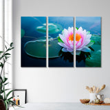 Lotus Flower in the Pond Canvas Print SKU 10341