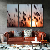 Summer Glade at Sunset Canvas Print SKU 10527