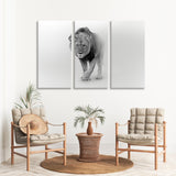 Proud Lion Black and White Canvas Print SKU 10290