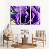 Purple Eustoma Close Up Canvas Print SKU 10354