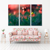 Beautiful Poppy Flower Canvas Print SKU 10528