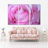 Pink Rose Canvas Print SKU 10349