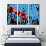 Red Poppies and Blue Sky Canvas Print SKU 10871