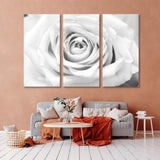 Rose in Black and White Canvas Print SKU 10168