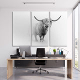 Scottish Cow White and Black Canvas Print SKU 10311