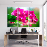 Pink Orchid Canvas Print SKU 10345