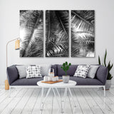 Palm Leaf Black White Canvas Print SKU 10436