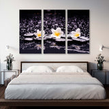 Spa Still Life of Frangipani and Black Stones Canvas Print SKU 10938